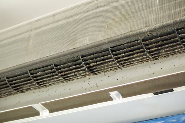Best Residential Air Duct Cleaning  in Peaceful Valley, WA